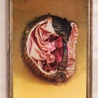 Gürteltier 67x43cm Hahnemühle Agave