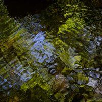 Wasser-web 01